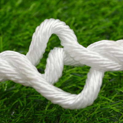 Customizable Color 6MM 8MM High Tensile 3 Strand Polypropylene Strength Packing Rope