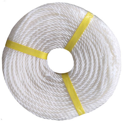 6mm Polyethylene 3 Strands Twisted Nylon Rope Plastic PE Rope for Anchor Boat Mooring