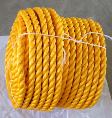Polyethylene PP Danline Rope 3 Strands Twisted Plastic Nylon Fishing Packing Rope Marine Commercial Use