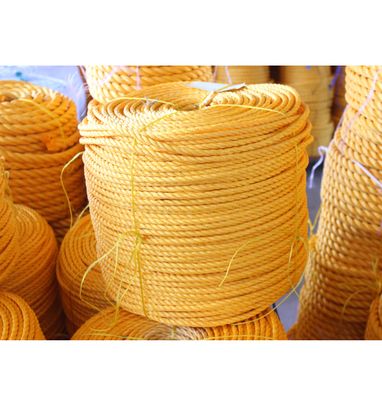Polyethylene PP Danline Rope 3 Strands Twisted Plastic Nylon Fishing Packing Rope Marine Commercial Use