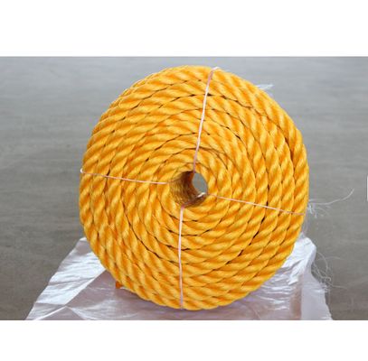 Polyethylene PP Danline Rope 3 Strands Twisted Plastic Nylon Fishing Packing Rope Marine Commercial Use