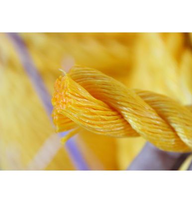 Polyethylene PP Danline Rope 3 Strands Twisted Plastic Nylon Fishing Packing Rope Marine Commercial Use