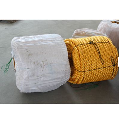 Polyethylene PP Danline Rope 3 Strands Twisted Plastic Nylon Fishing Packing Rope Marine Commercial Use