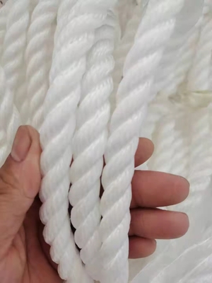 64mmx220m Marine Hawser 8 Strand Polypropylene Multifilament Rope Mooring Rope For Shipowner