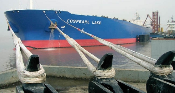 Polypropylene Polyester Nylon Mixed 3 8 12 Strands Mooring Rope for Ship
