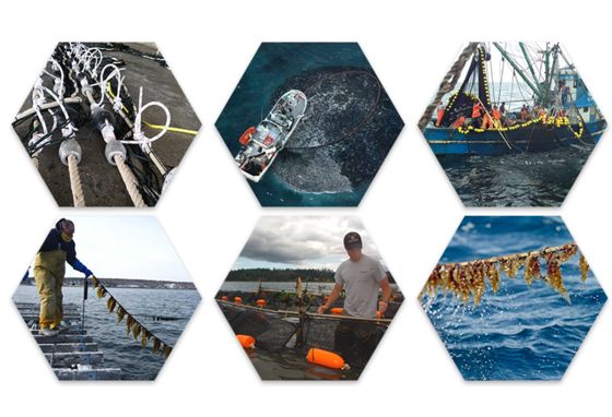 12MM*200M 3 Strand Polyester Twisted Marine Rope 1/4 Inch Soft Multifilament 3 Strand Twisted Rope Nylon Mooring Anchor Rope