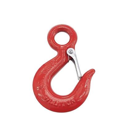 320 Forged Eye Hoist Hooks With Latch Seaport, Hoisting Industry, Sling